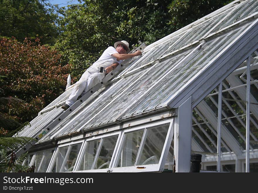 Roof, Outdoor Structure, Daylighting, Greenhouse