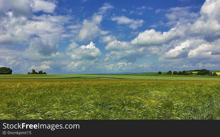 Grassland, Sky, Field, Plain