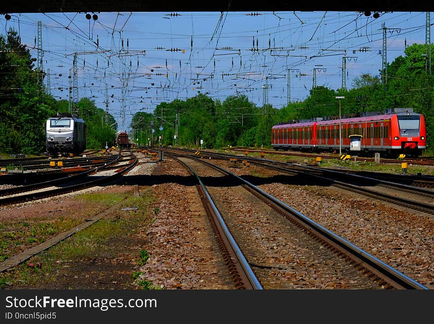 Track, Transport, Rail Transport, Train