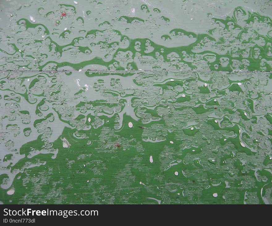 Water, Green, Leaf, Drop