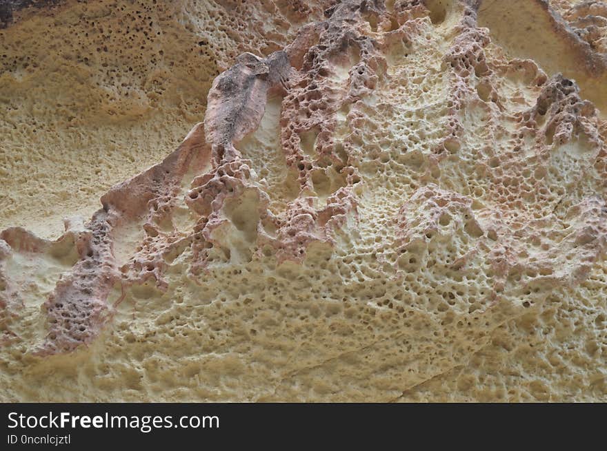 Fauna, Geology, Rock