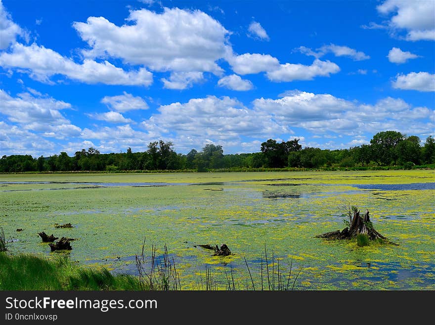 Grassland, Sky, Nature, Wetland