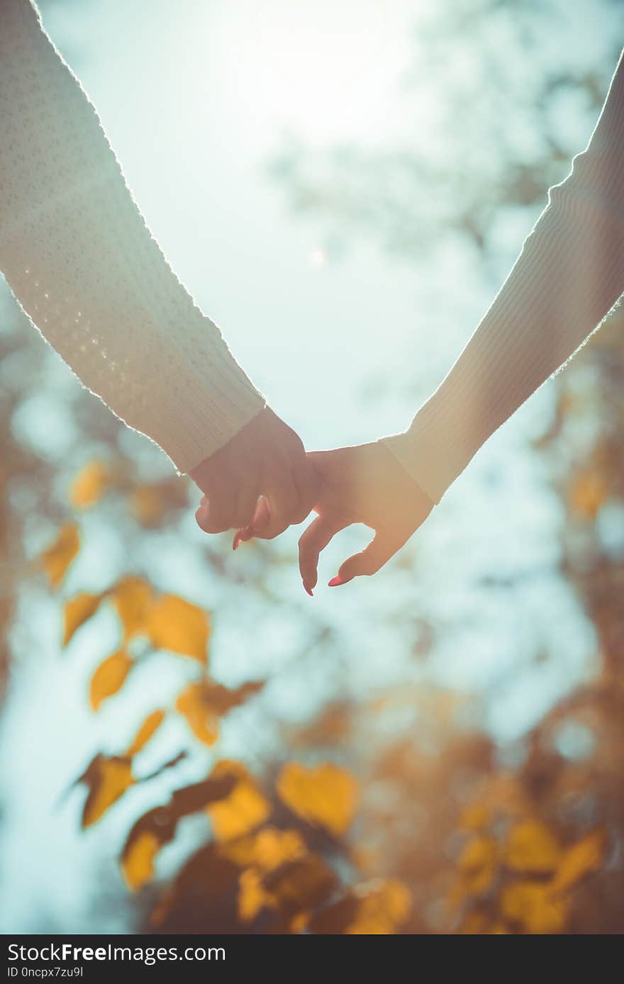 Couple in love walking in the aun park holding hands looking in the daily sunlight. Couple in love walking in the aun park holding hands looking in the daily sunlight