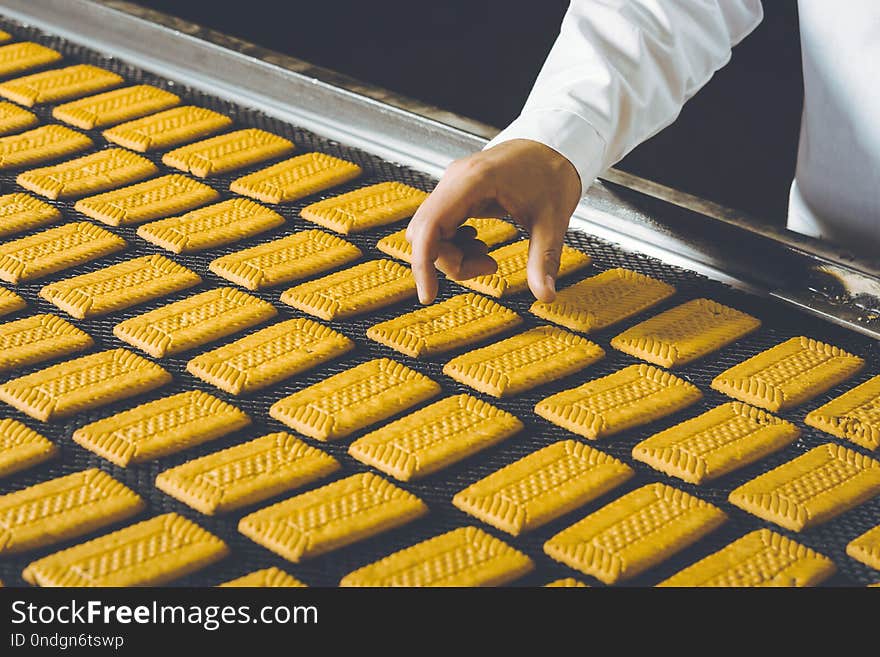 Cookie factory making pastry conveyor fresh biscuit