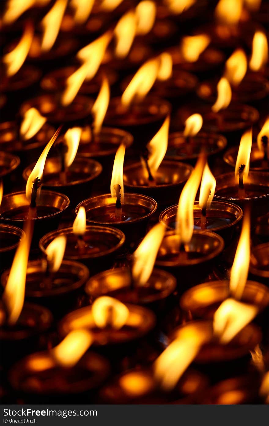 Burning candles in Buddhist temple. Dharamsala, Himachal Pradesh, India