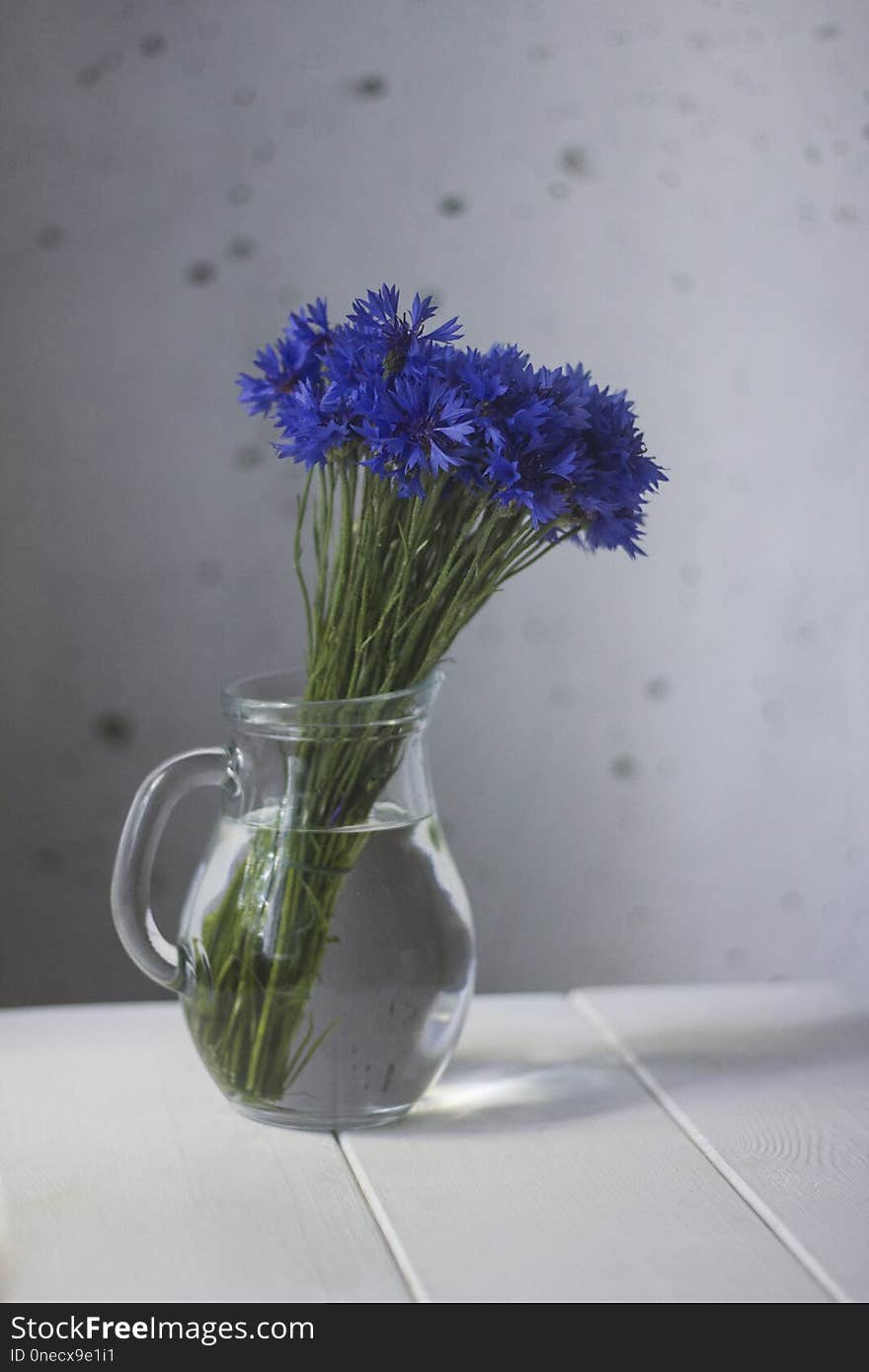 Minimalistic Still Life With Cornflowers In Glass Jug On White Rustic Wooden Background