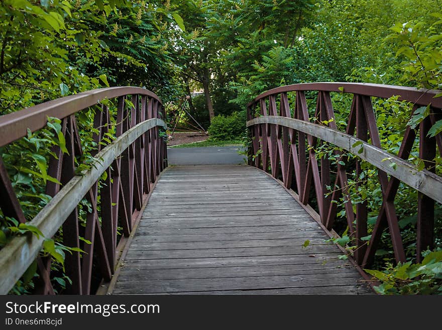 Nature, Green, Path, Walkway