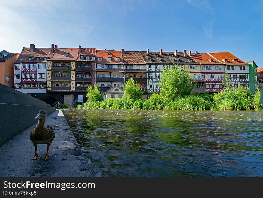 Waterway, Water, Reflection, Sky