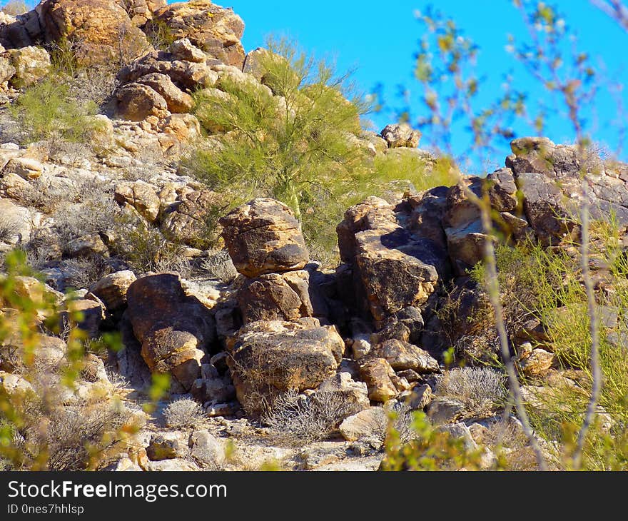 Rock, Vegetation, Nature Reserve, Plant