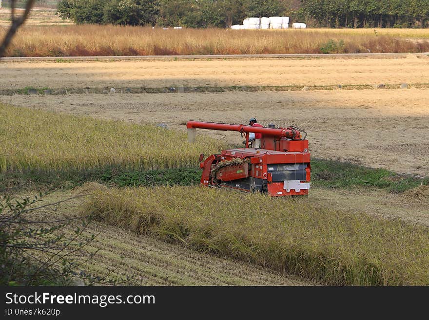 Field, Agriculture, Harvester, Farm