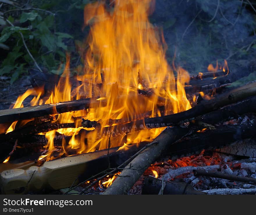 Campfire, Fire, Geological Phenomenon, Flame