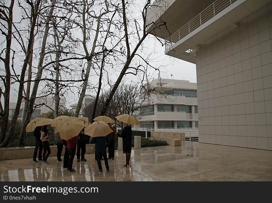 Tree, Architecture, Tourist Attraction, Building