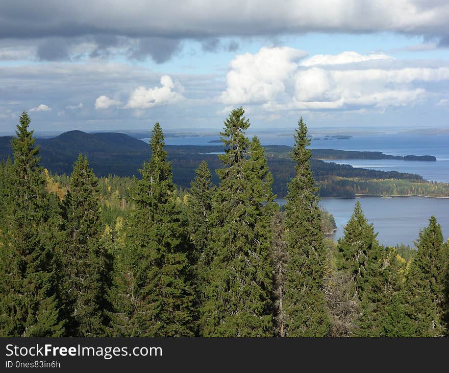 Ecosystem, Wilderness, Cloud, Vegetation