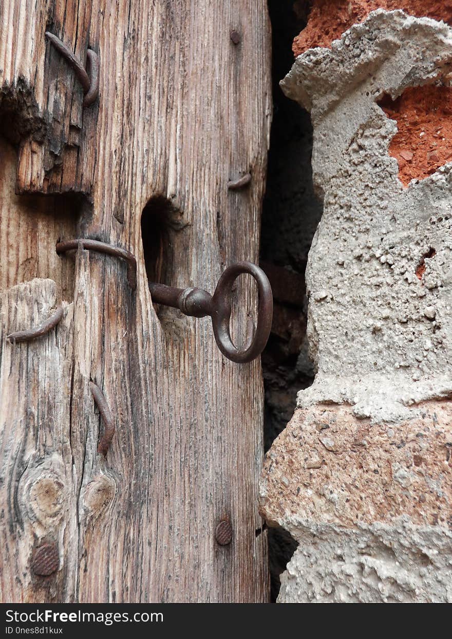 Wood, Tree, Trunk