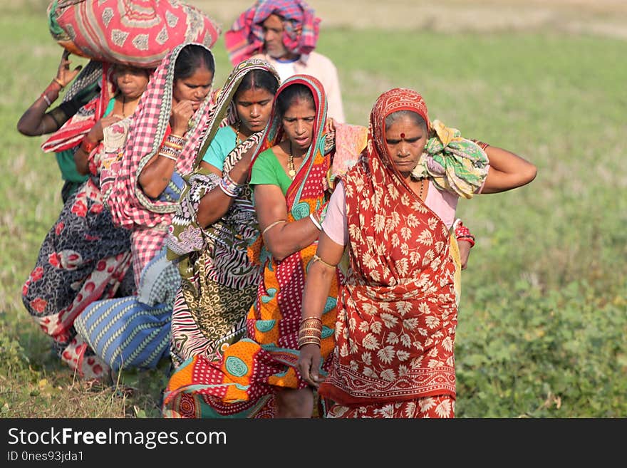 Tribe, Tradition, Plant, Sari