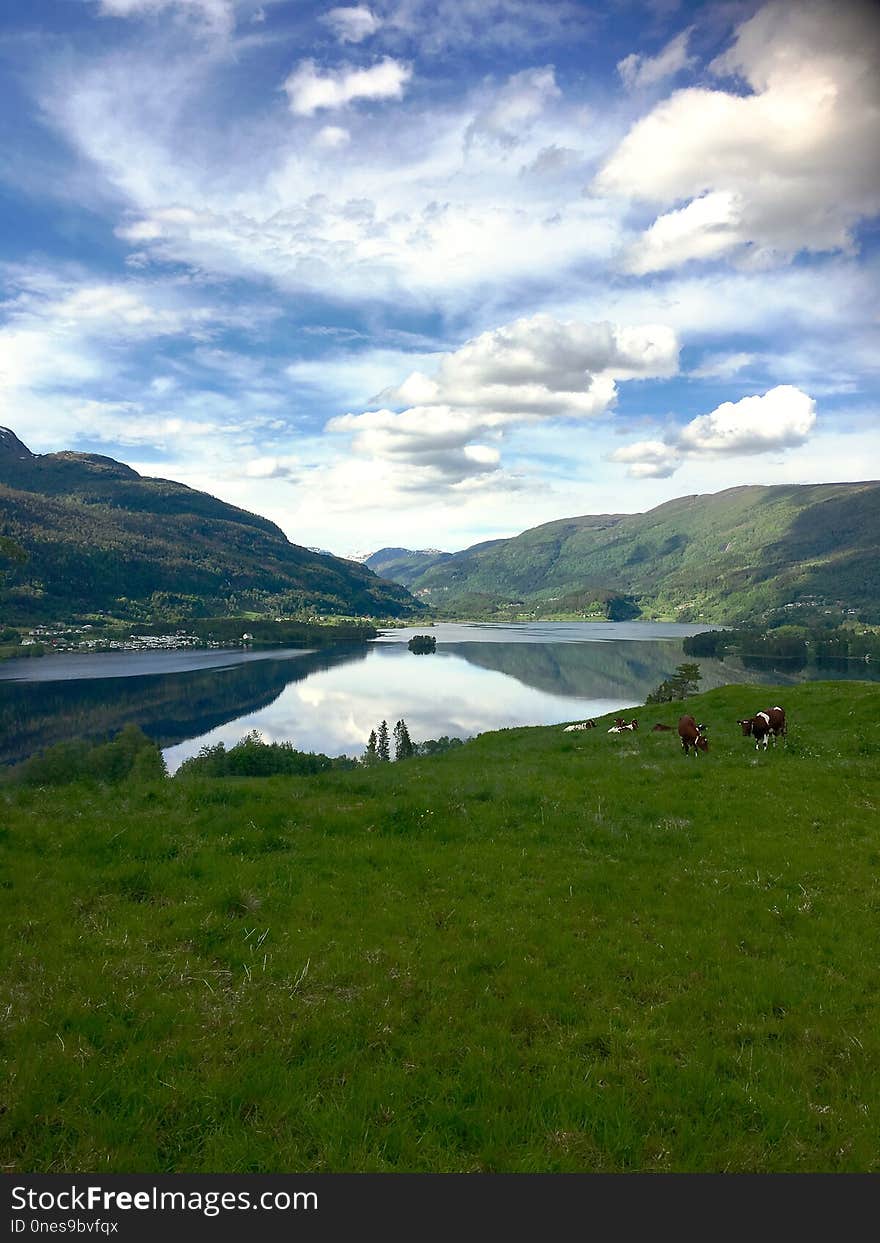 Highland, Loch, Nature, Sky