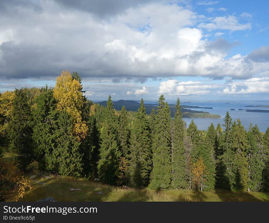 Cloud, Ecosystem, Sky, Wilderness