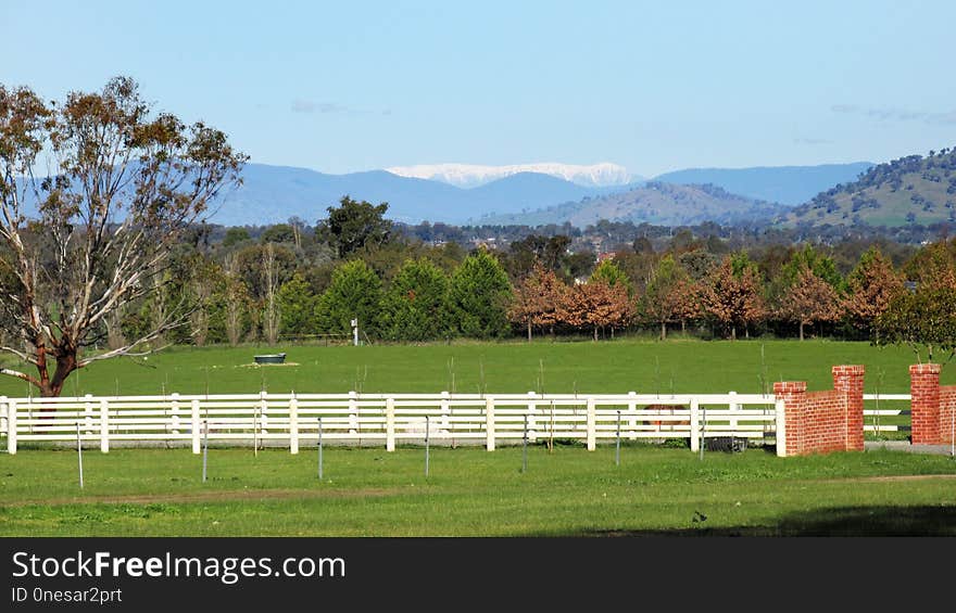 Pasture, Grassland, Fence, Farm