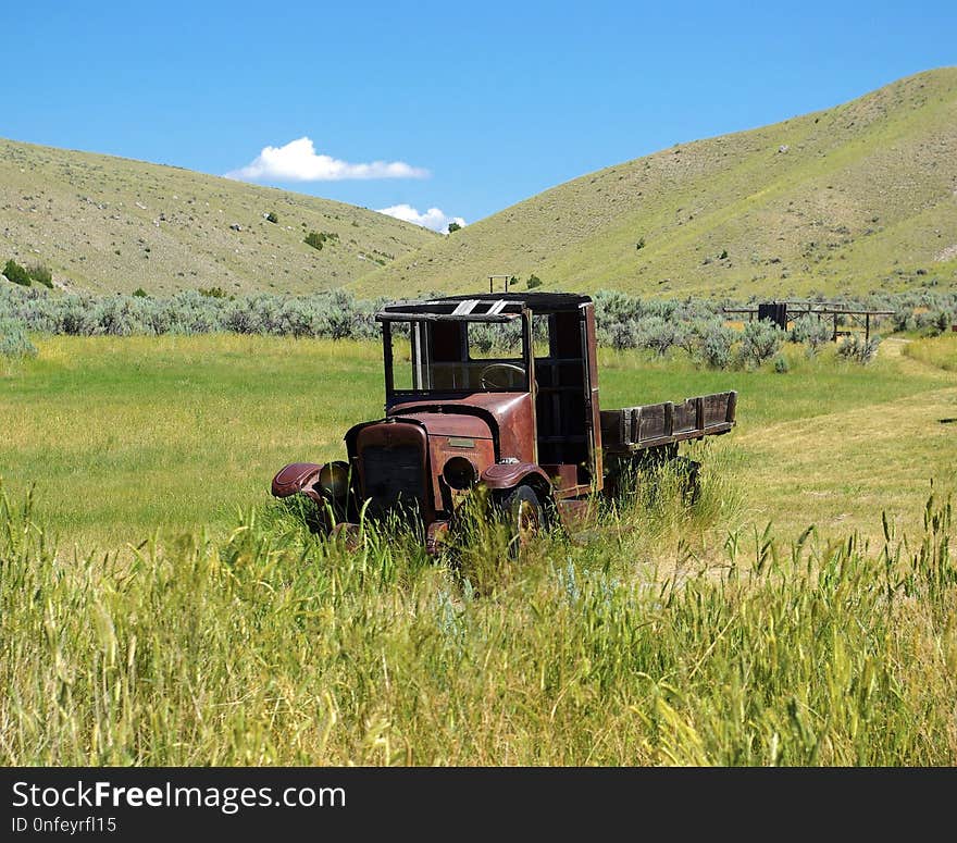 Grassland, Ecosystem, Field, Agriculture