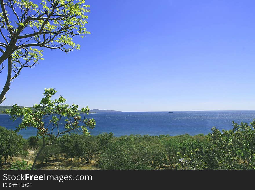 Sky, Vegetation, Nature Reserve, Tree