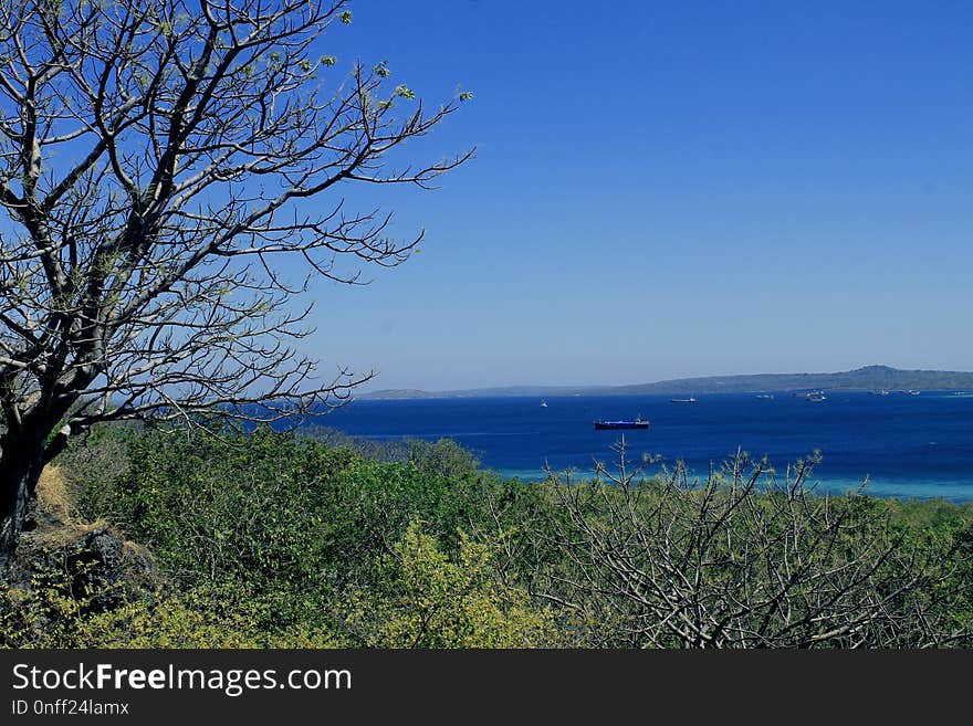 Sky, Coast, Sea, Tree