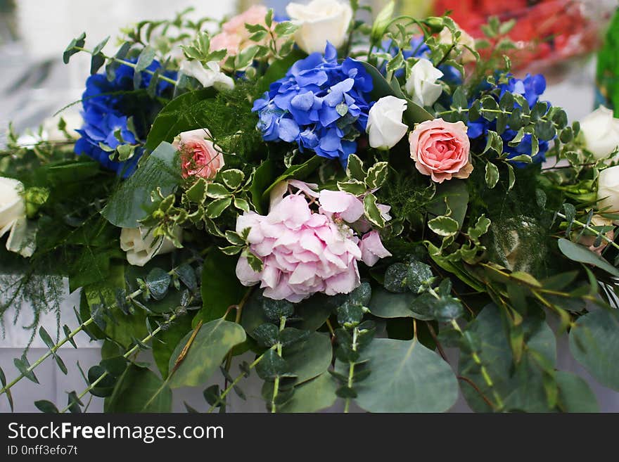 Flower, Plant, Floristry, Flower Arranging