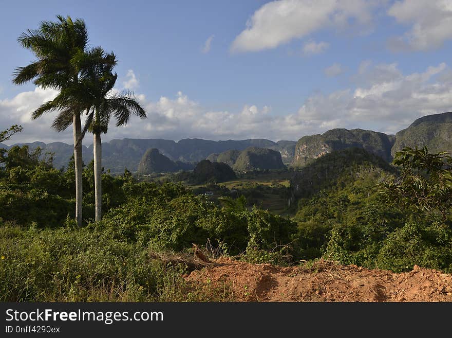 Vegetation, Nature, Sky, Mountainous Landforms