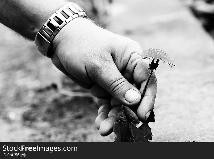 Hand, Black And White, Finger, Monochrome Photography