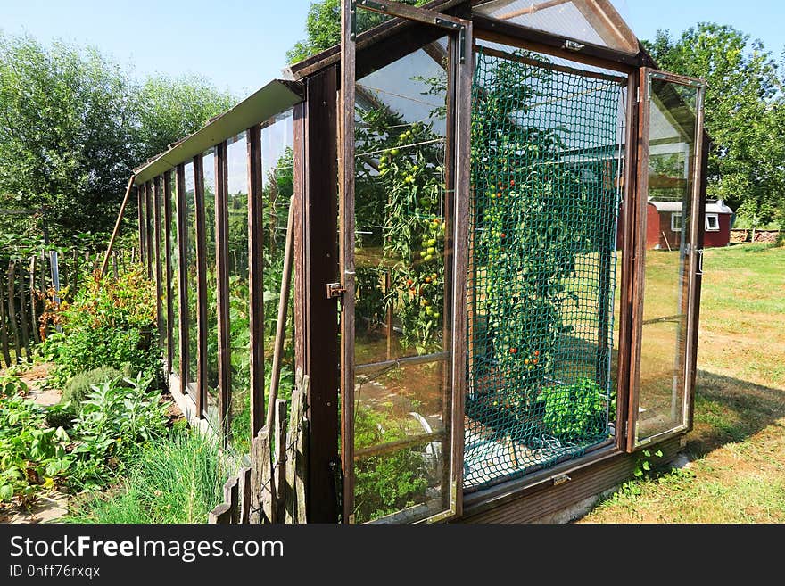 Greenhouse, Outdoor Structure, Plant, Garden