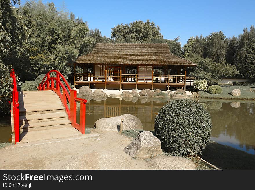 Water, Tree, Tourist Attraction, Plant