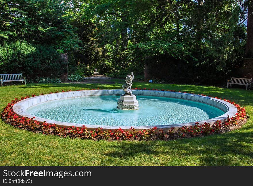 Swimming Pool, Water Feature, Water, Leisure