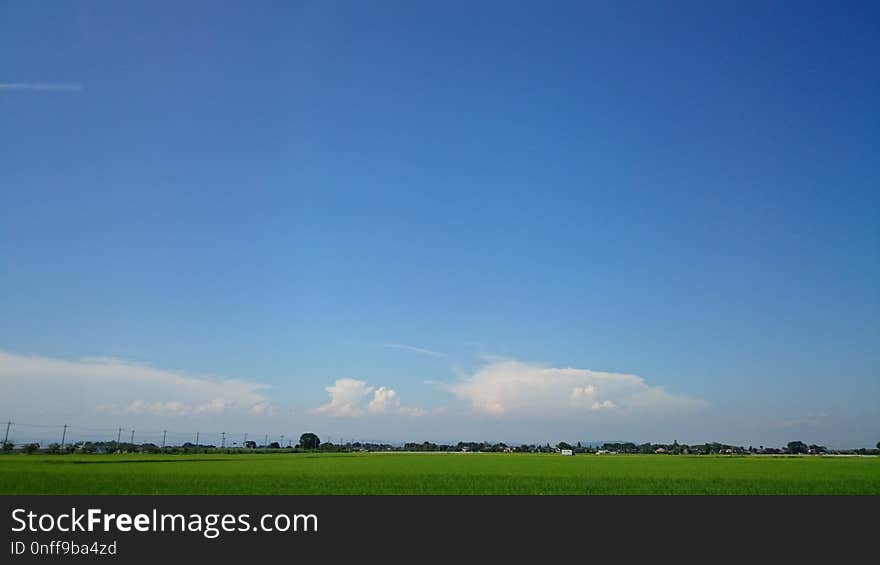 Sky, Grassland, Daytime, Field