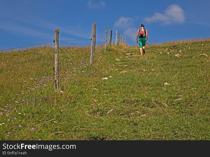 Grassland, Ecosystem, Sky, Grass