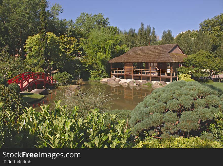 Vegetation, Nature Reserve, Garden, Botanical Garden