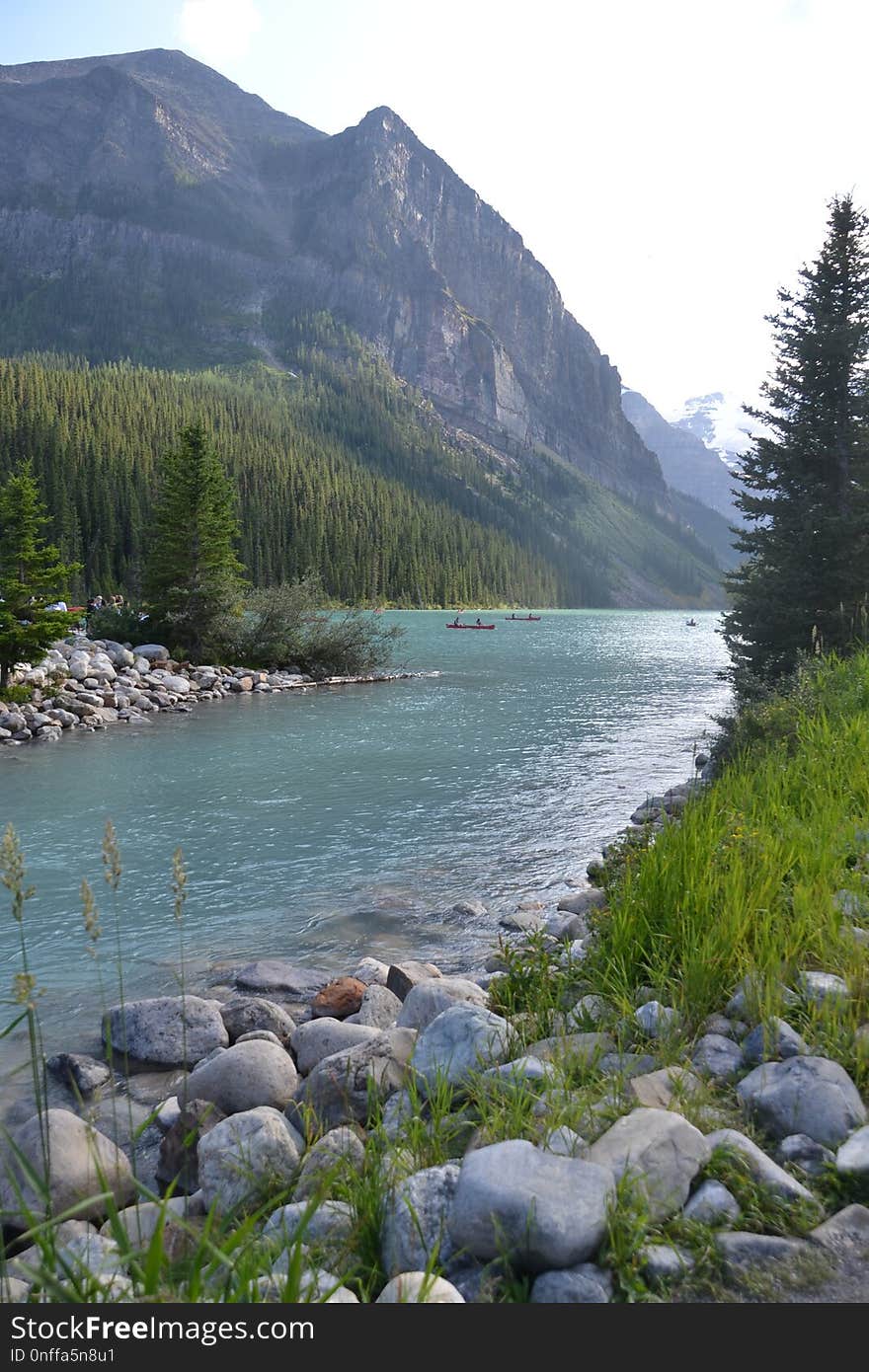 Wilderness, River, Nature Reserve, Water