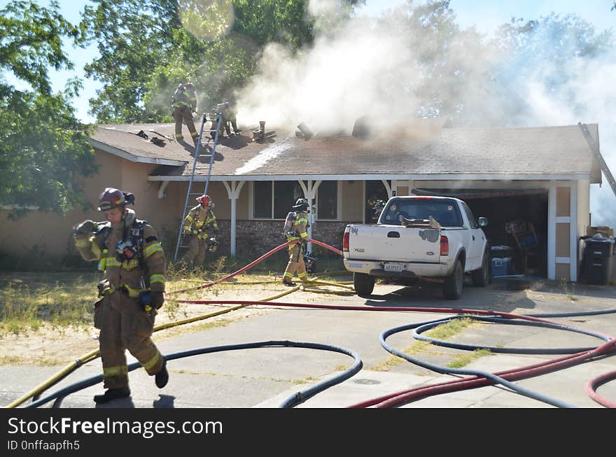 Fire, Firefighter, Tree, Vehicle