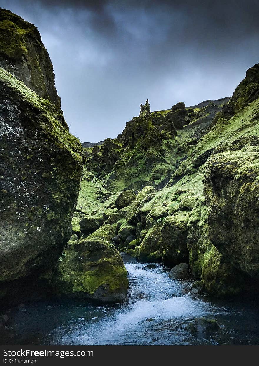 Nature, Water, Nature Reserve, Watercourse