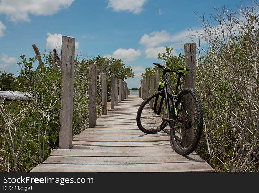 Land Vehicle, Bicycle, Road Bicycle, Path