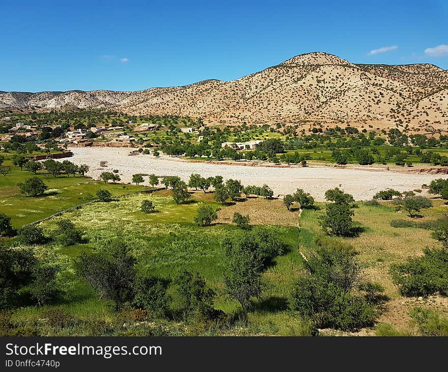 Vegetation, Ecosystem, Chaparral, Wilderness