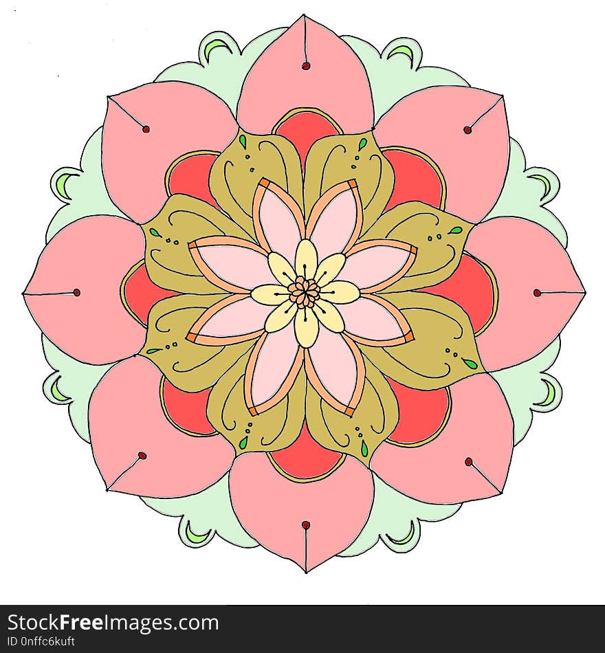 Flower, Flowering Plant, Pink, Flora