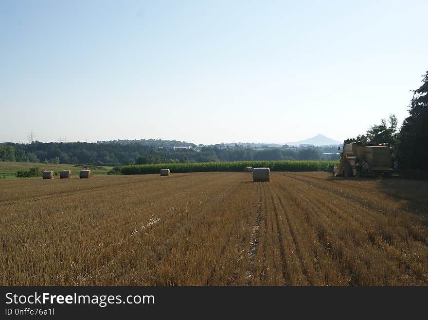 Field, Agriculture, Farm, Plain