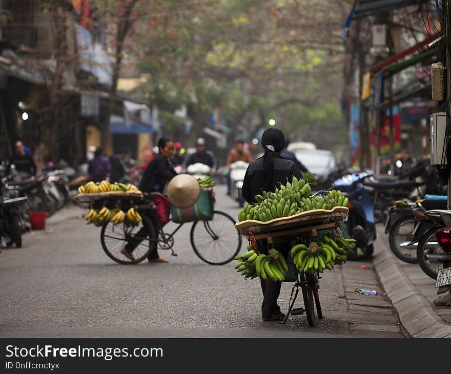 Land Vehicle, Bicycle, Vehicle, Street