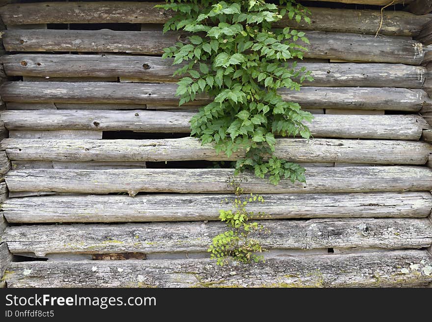 Wall, Wood, Grass, Outdoor Structure