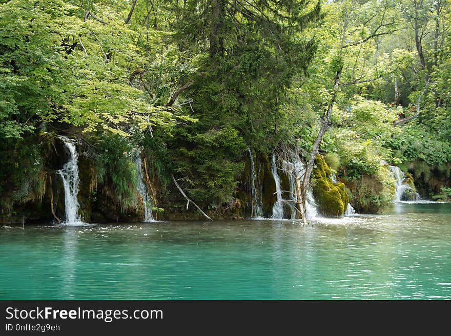 Waterfall, Vegetation, Nature, Nature Reserve