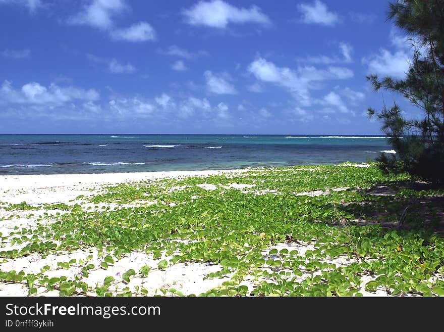 Body Of Water, Sea, Shore, Sky