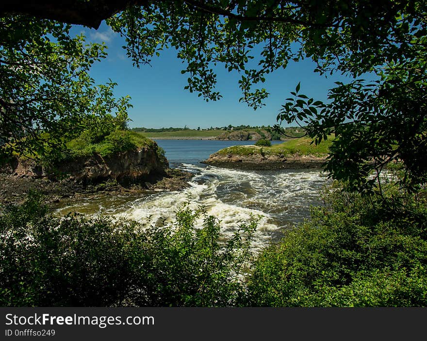 Nature, Nature Reserve, Water, Vegetation