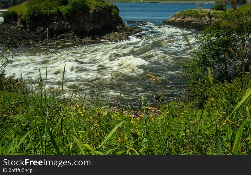 Body Of Water, Water, Nature Reserve, Vegetation