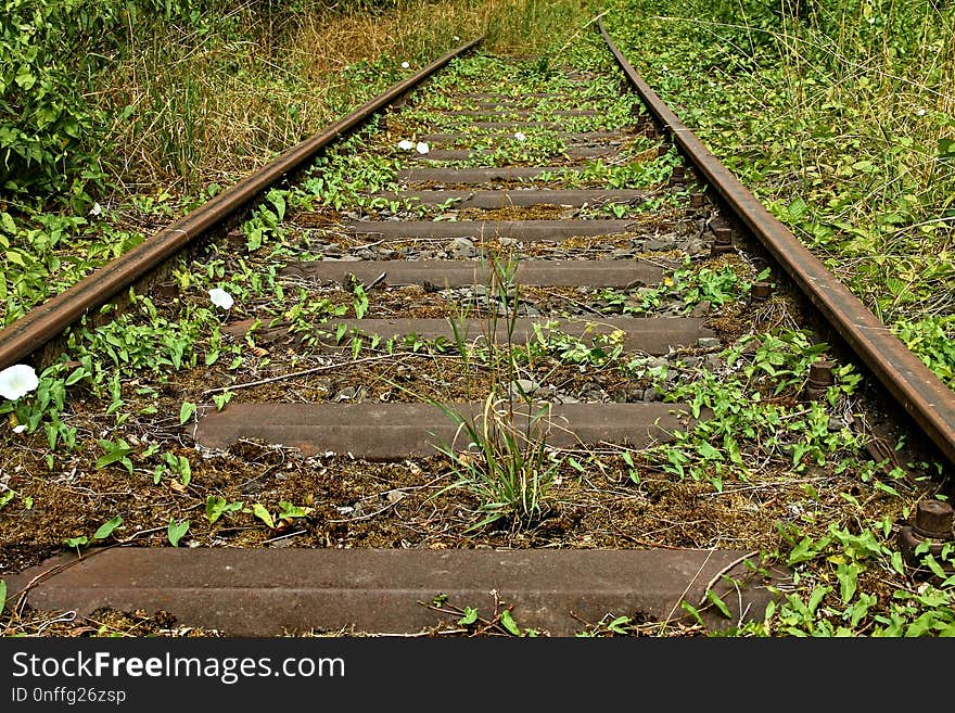 Track, Path, Grass, Soil