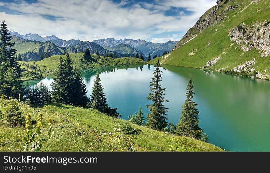 Nature, Wilderness, Nature Reserve, Mount Scenery