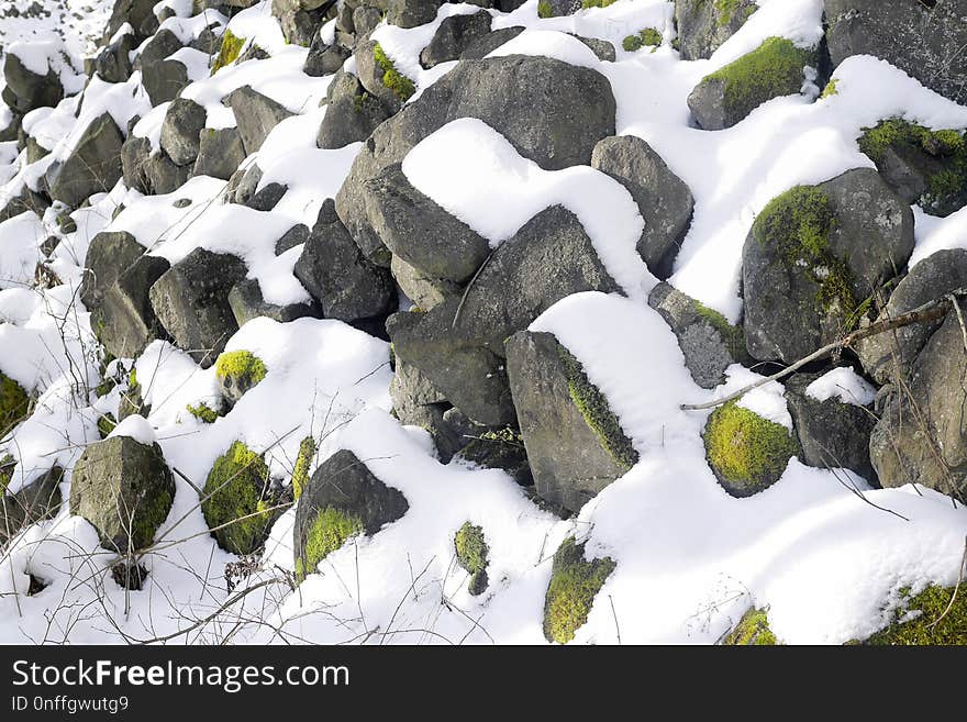 Rock, Snow, Winter, Leaf